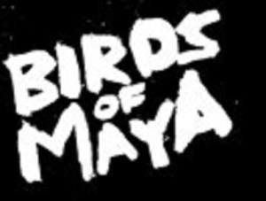 224739_156952577702470_3747829_n