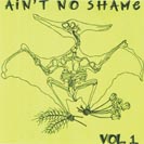 aintnoshame_300