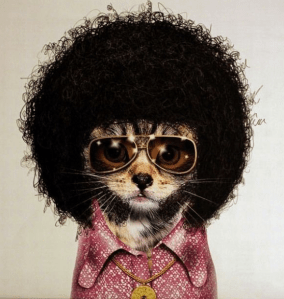 1176317_620008028039118_985825576_n